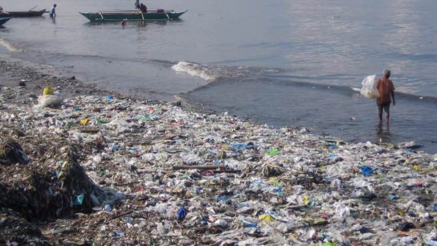 Пластиковые бутылки – экологическая опасность
