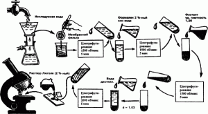 Схема методики санитарно-паразитологического исследования воды