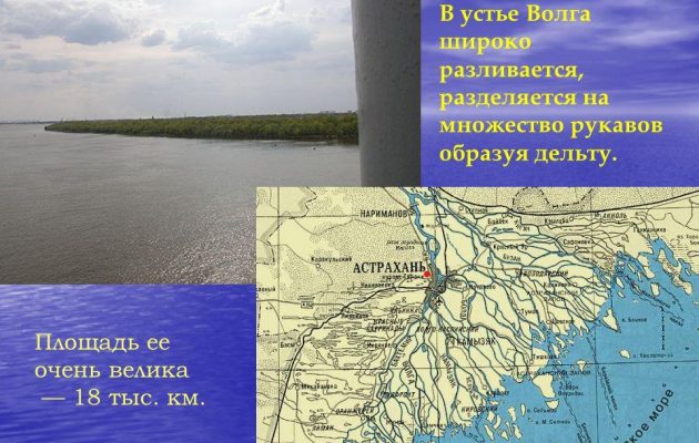 Река Волга: исток, устье и длинна реки